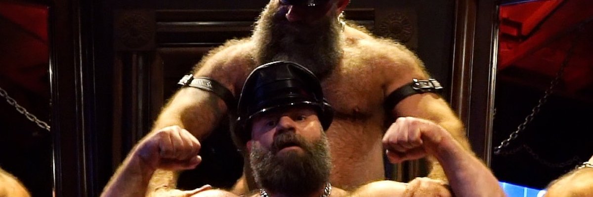 Muscle Bulls cover