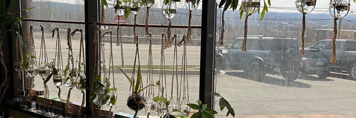 T’s Tits 🍒 cover