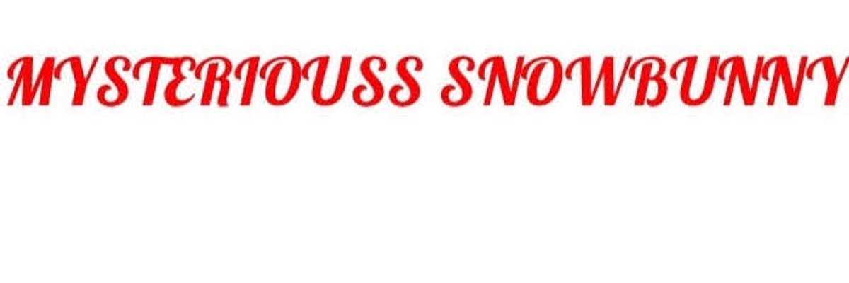 Mysterious Snowbunny cover