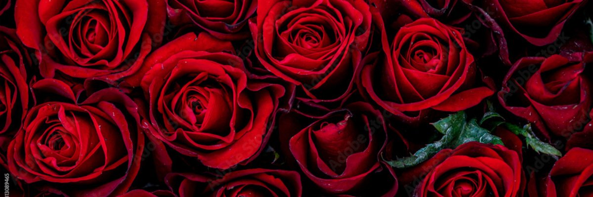 Mistress Naomi Roze cover