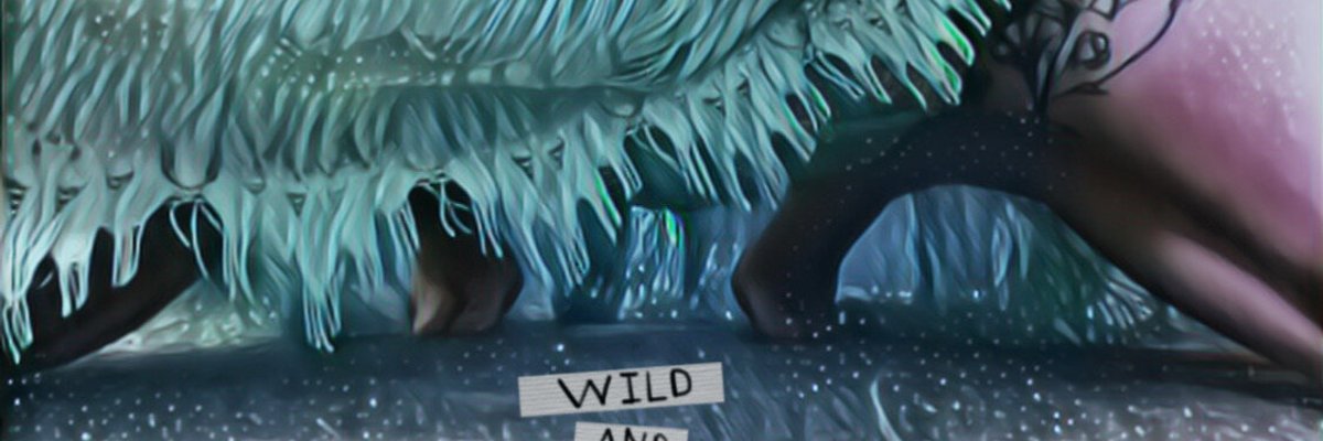 Stella Wilde cover