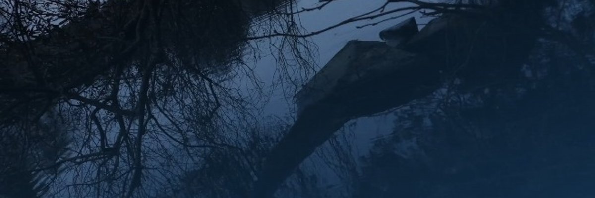 NotYourMommaBear cover