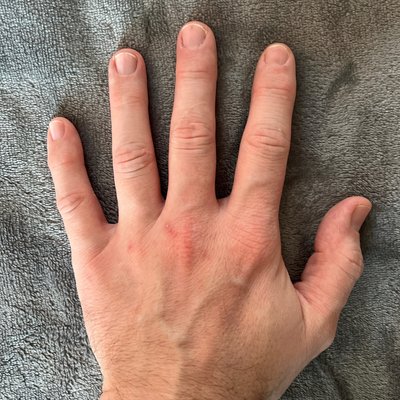 The Official Hands Account