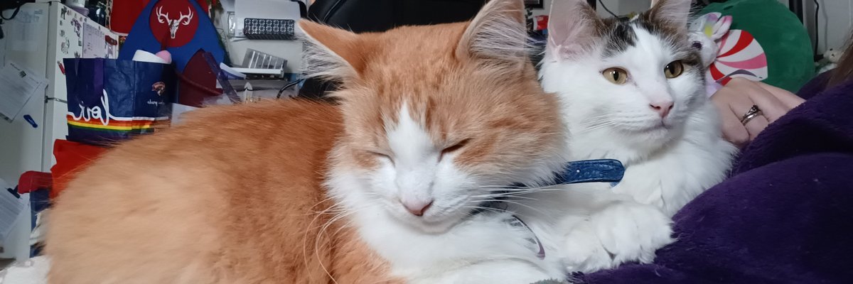 Only Paws With Dusty cover