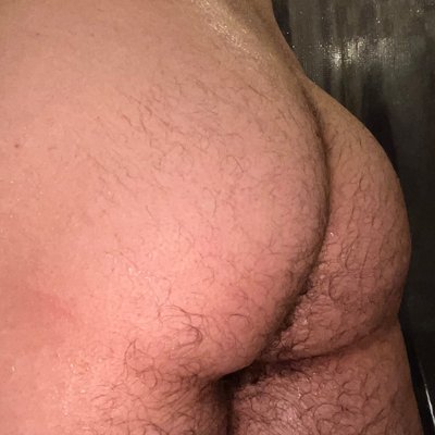 OtterCollegeBoy