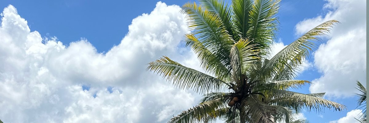 Tony Reflector cover