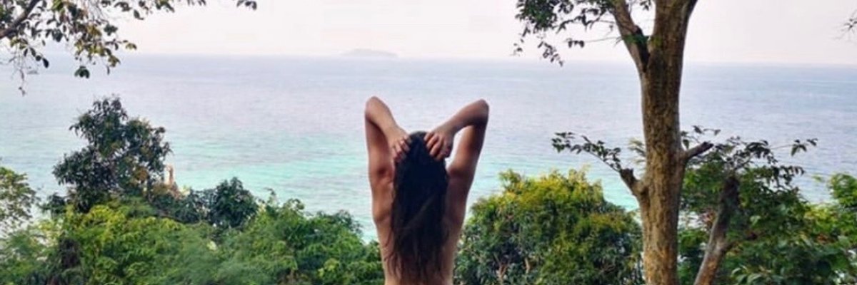 PeachTrainer X cover