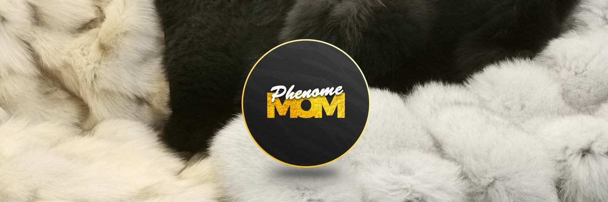 phenomemom cover