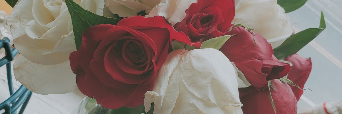 Mama Red ๐
๐ฆ cover