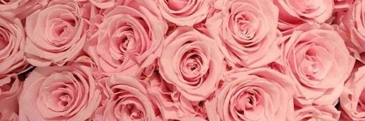 Princess Anaïs cover