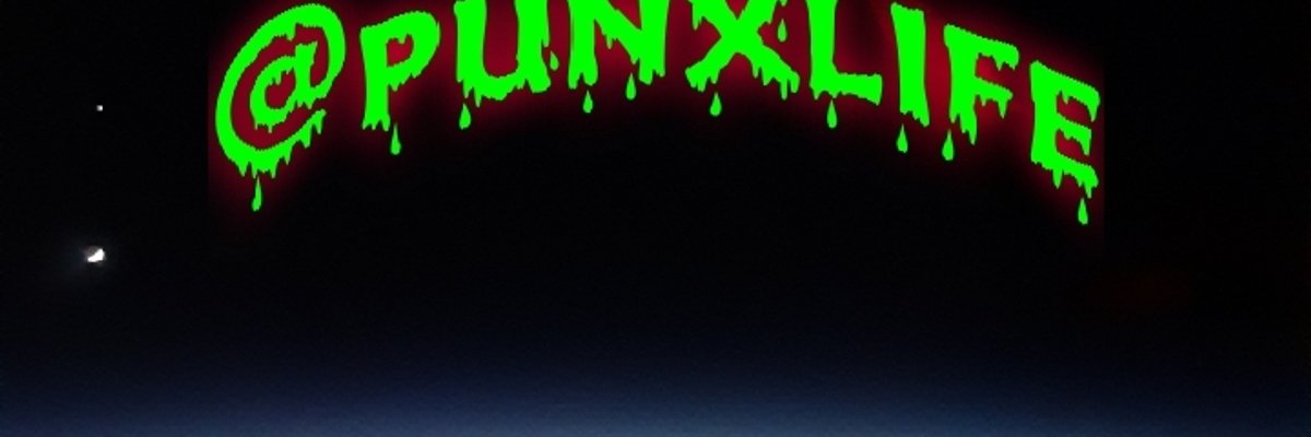 Punx cover