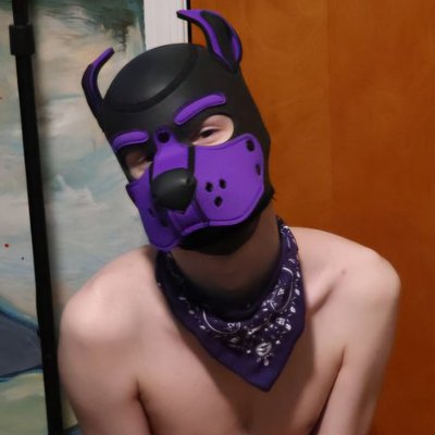 Pup Tarot