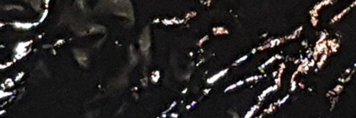 Hayden Calypso (free) cover