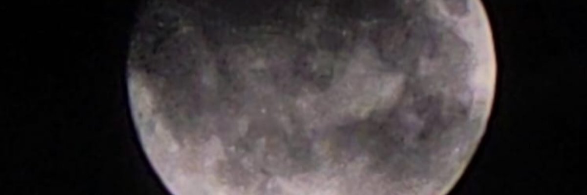 🖤🦂👑Queen_scorpi👑🦂🖤 cover