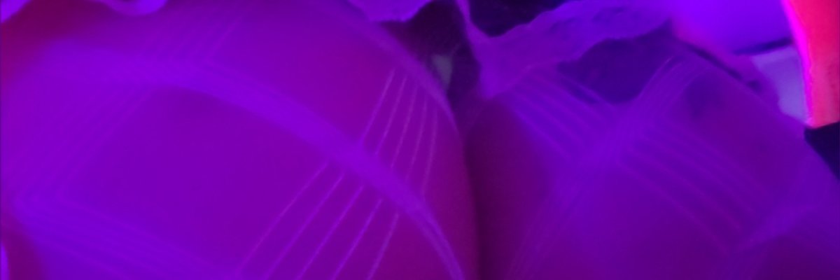LEXUS LOVE cover