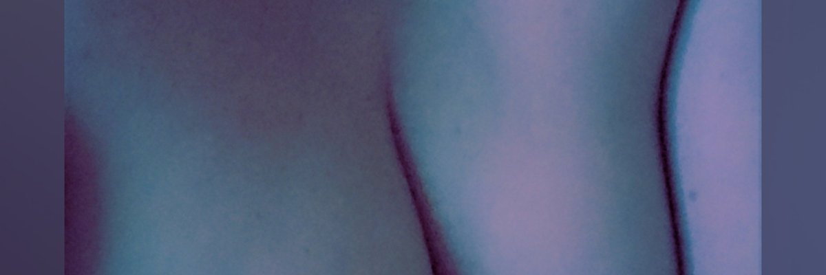 Raven_Wiinge cover