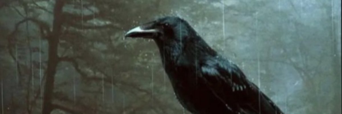 Raven cover