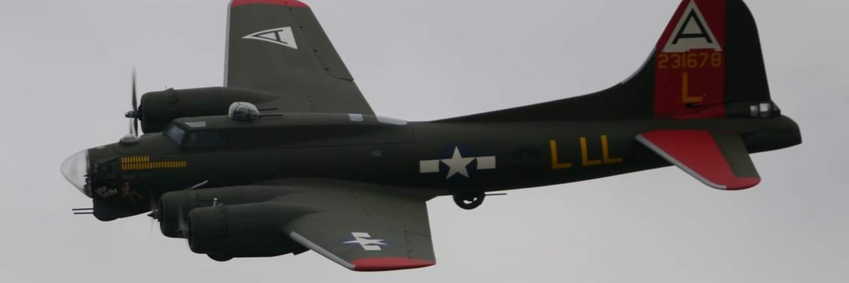 war birds rescue cover