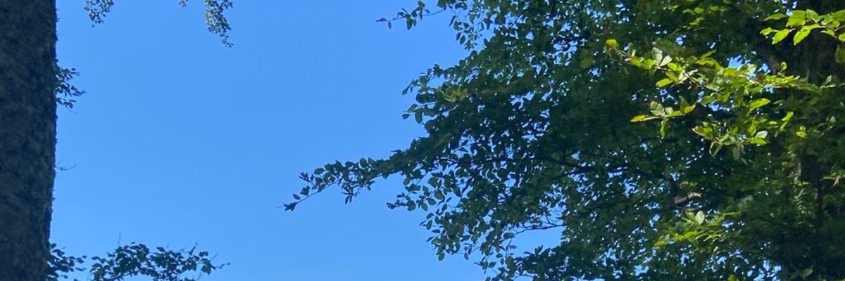 🍊 XXXX VIDEOS 🍊 cover