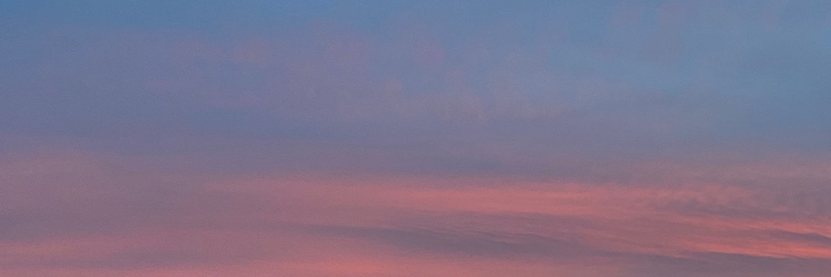 ・ 。 Reece ☆∴。 cover