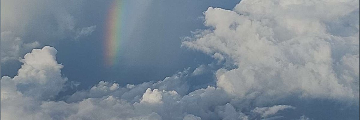 Riley Elizabeth cover