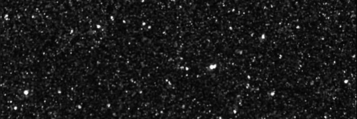 Royal Ebony Love🍆 cover