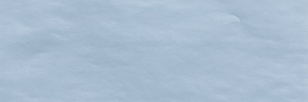 Samara Rosetti cover