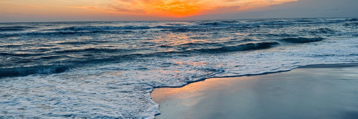 ☀️Beach Bum 👸🏼 cover