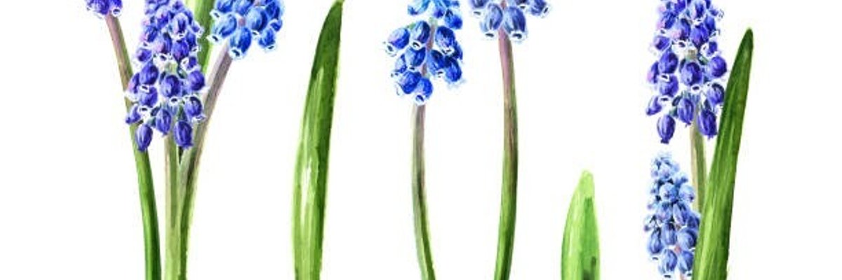 That_Sexy_Fox<3 cover