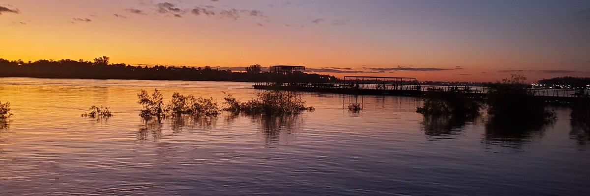 Sheila Fernandez cover