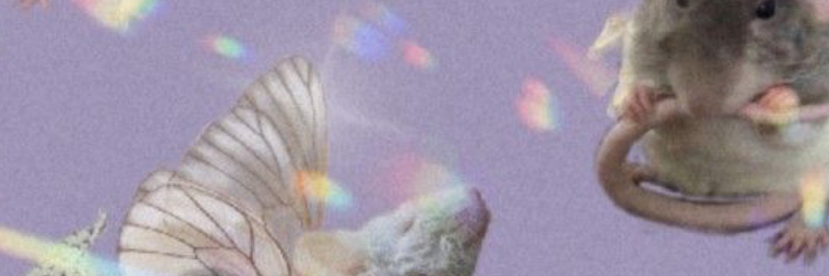 alison cover