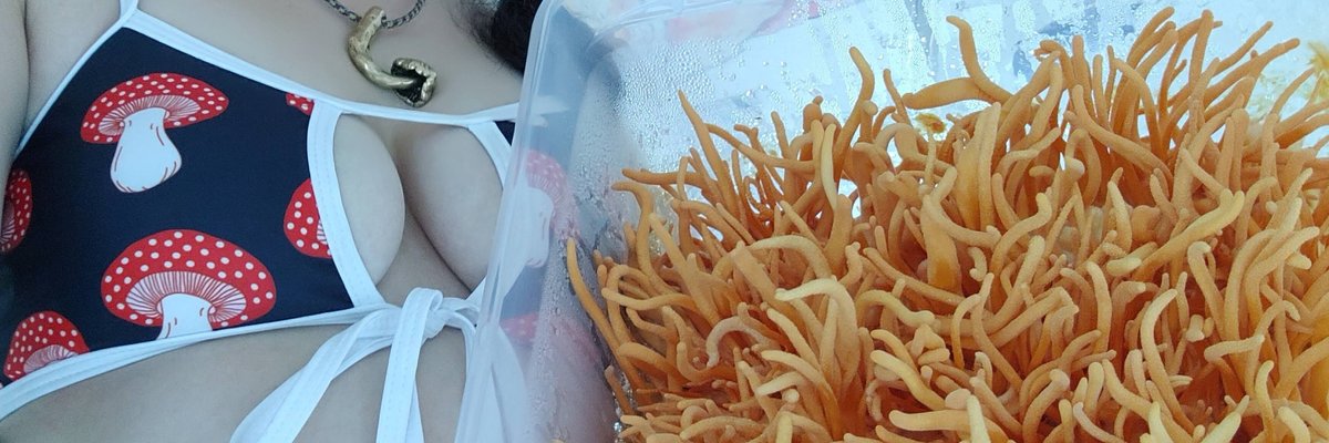 Teresa Mycelia cover