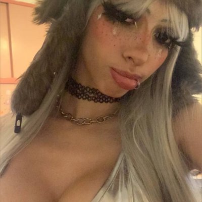 SilverKitten