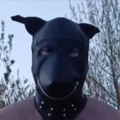 SissyDoggie