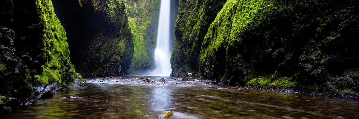 Skimask menace 👹 cover