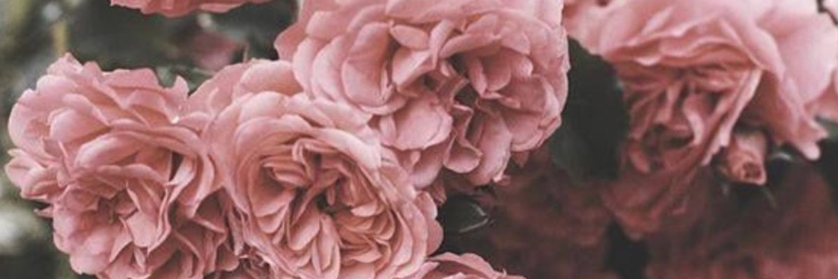 Skyler Lo Says cover