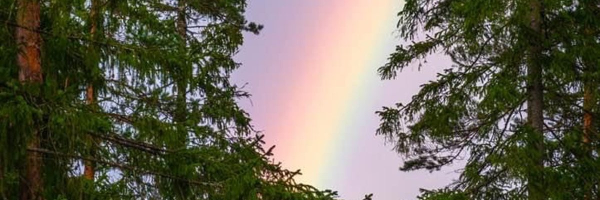 Snowbrownie🌸 cover