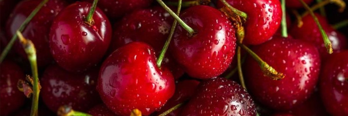 𝕷𝖆𝖞𝖑𝖆 𝕷𝖎𝖑𝖎𝖙𝖍 cover