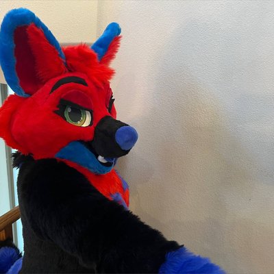 Sparks Husky
