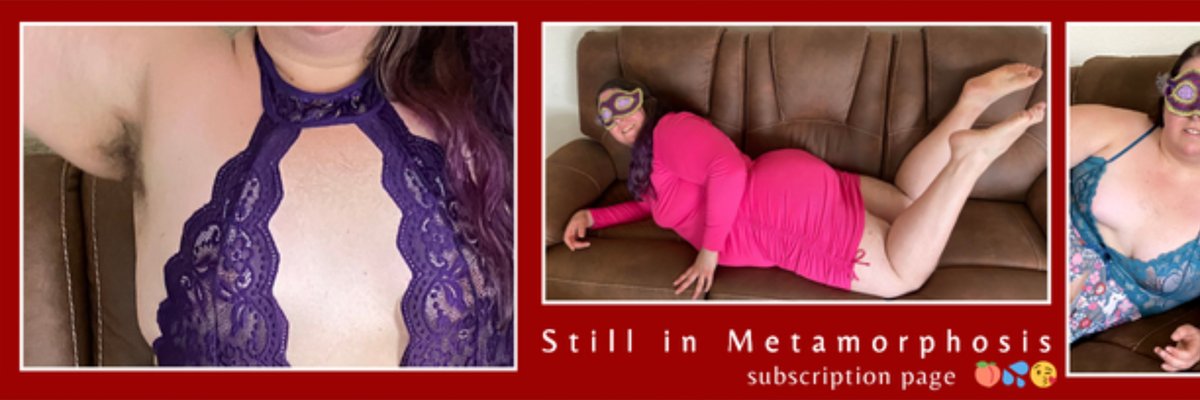 Still in Metamorphosis cover