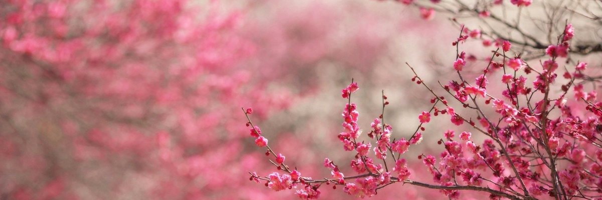 StrawberryNSFW cover