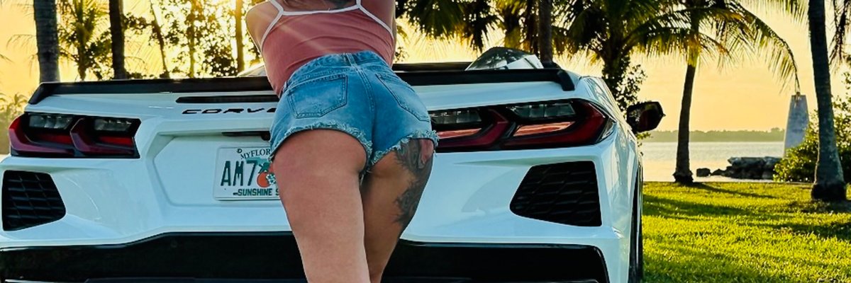 Summer Morningwood cover