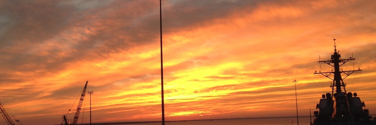 Tattooedsaylor cover