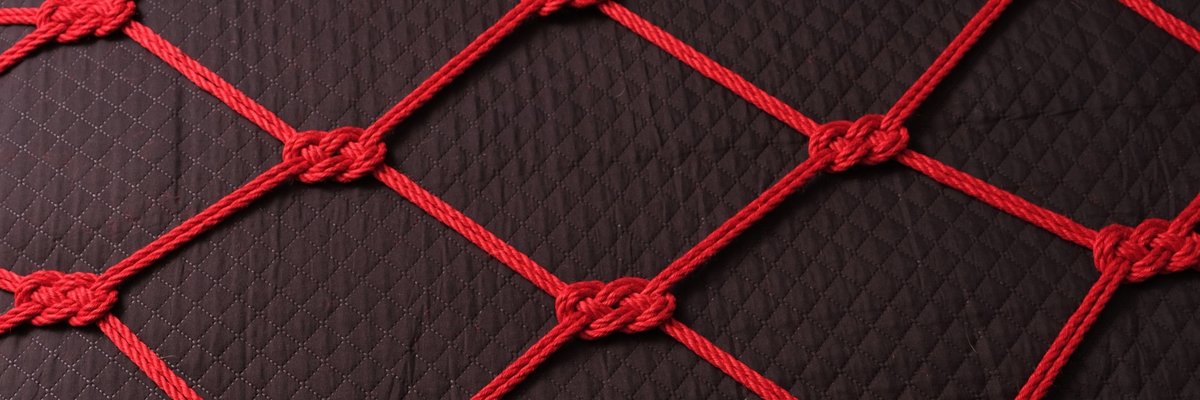 Texas Shibari Free cover