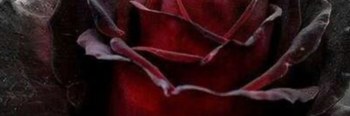 Holly 🖤 cover