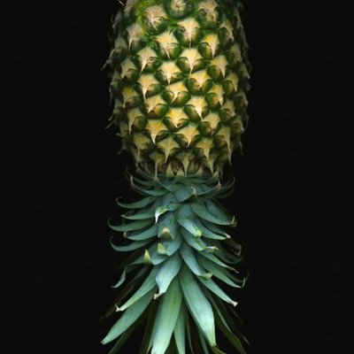 The Black Hot Couple