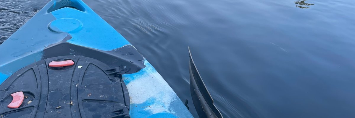 TheCameronSteale cover