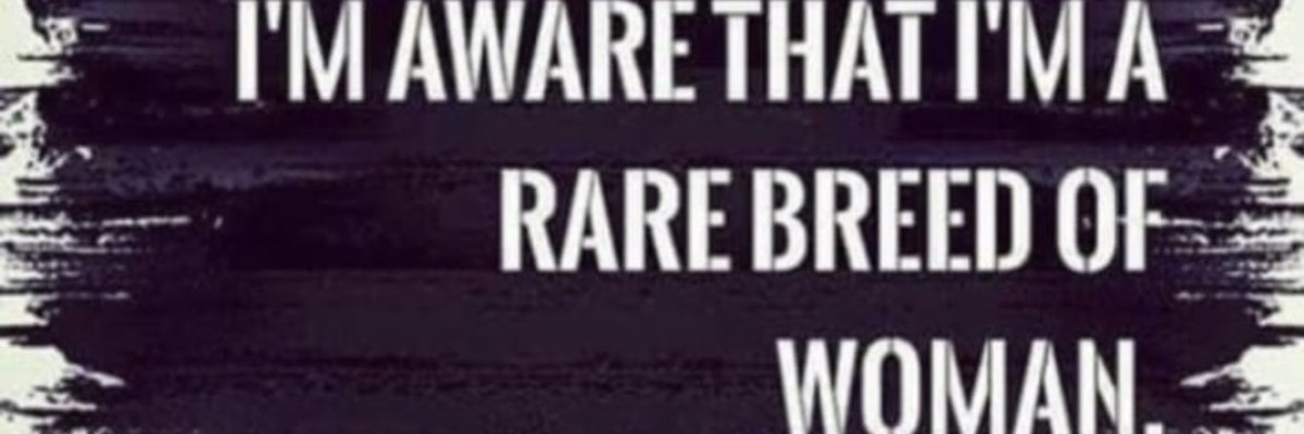 The Gemini ♊️ cover