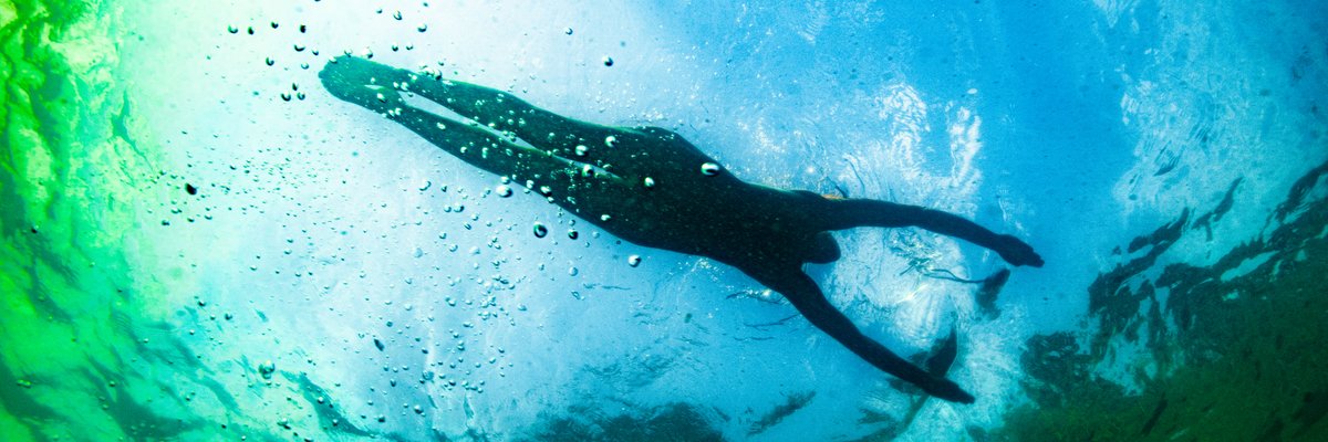 Thestoryinourbodies cover