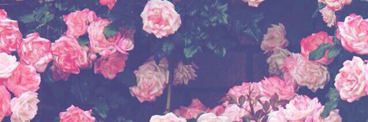 Ally cover